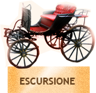 Escursioni