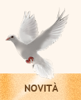 Novita